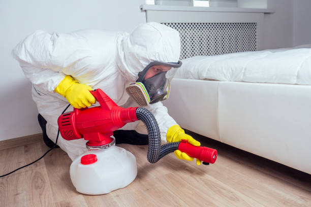 Best Flea Control Services  in Country Lake Estates, NJ