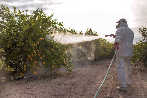 Best Pest Inspection Near Me  in Country Lake Estates, NJ